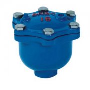  ARVX微量排氣(qi)閥