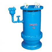  CARX3系列複合(hé)式排氣閥