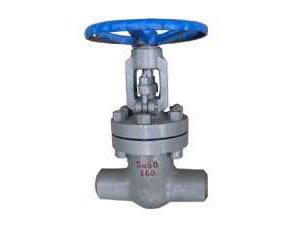 焊(han)接式閘(zha)閥Z61Y-160C